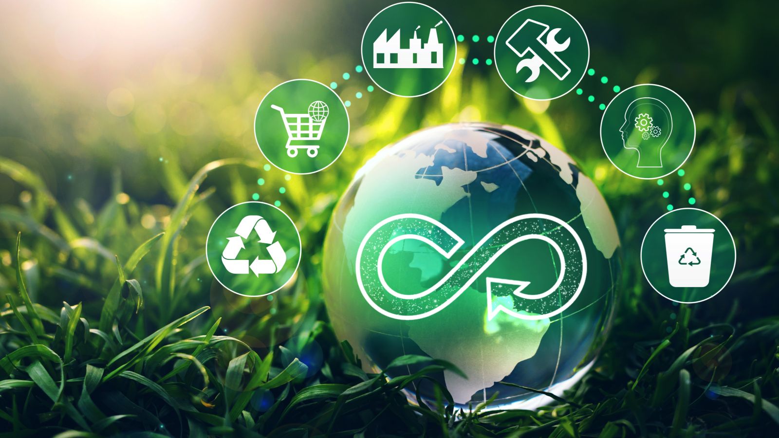 Das Bild zeigt eine im Gras liegende Weltkugel aus Glas. Oberhalb der Weltkugel finden sich 6 Symbole zum Thema Kreislaufwirtschaft, wie z.B. Recycling, Wiederverwendung, Reparieren.
