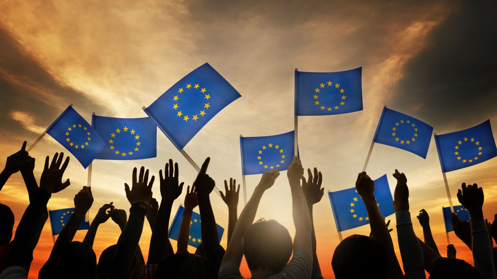Das Bild zeigt eine Gruppe Menschen, die mit kleinen Europa-Flaggen wedeln.