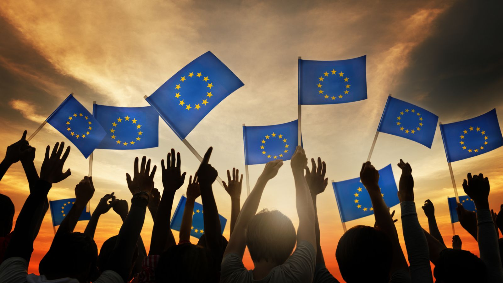 Das Bild zeigt eine Gruppe Menschen, die mit kleinen Europa-Flaggen wedeln.